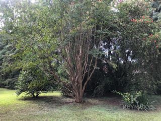 Foto 12 de TERRENO EN VENTA LOS ROBLES DEL MONARACA