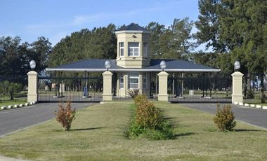 similar_image