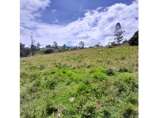 Foto 21 de Lote, Predio, Finca en venta, Ubaque Cundinamarca