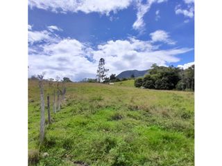 Foto 9 de Lote, Predio, Finca en venta, Ubaque Cundinamarca