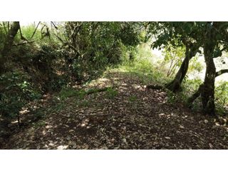Foto 20 de Lote, Predio, Finca en venta, Ubaque Cundinamarca