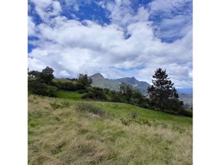 Foto 8 de Lote, Predio, Finca en venta, Ubaque Cundinamarca