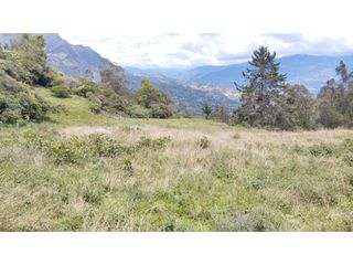 Foto 24 de Lote, Predio, Finca en venta, Ubaque Cundinamarca