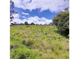 Foto 19 de Lote, Predio, Finca en venta, Ubaque Cundinamarca