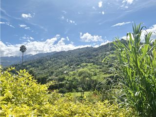 Foto 25 de Casa Campestre en venta, Romero Bajo, Ubaque, Choachí, Cundinamarca