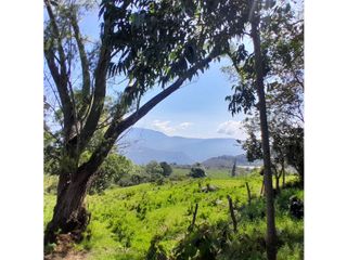 Foto 5 de Finca Rural en Venta en el municipio de Ubaque Cundinamarca