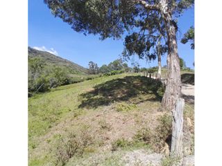 Foto 6 de Finca Rural en Venta en el municipio de Ubaque Cundinamarca