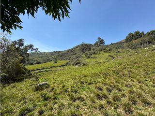 Foto 8 de Finca Rural en Venta en el municipio de Ubaque Cundinamarca