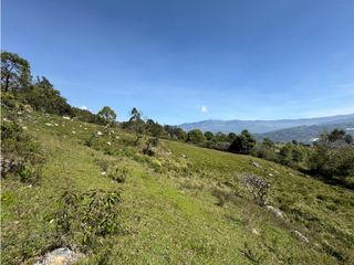 Foto 10 de Finca Rural en Venta en el municipio de Ubaque Cundinamarca