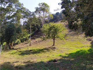 Foto 7 de Lote en Venta en el municipio de Choachi Cundinamarca