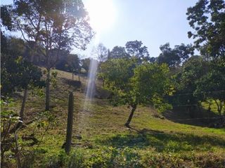 Foto 5 de Lote en Venta en el municipio de Choachi Cundinamarca