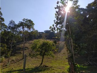 Foto 8 de Lote en Venta en el municipio de Choachi Cundinamarca