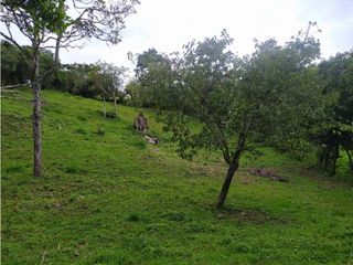 Foto 6 de Lote en Venta en el municipio de Choachi Cundinamarca