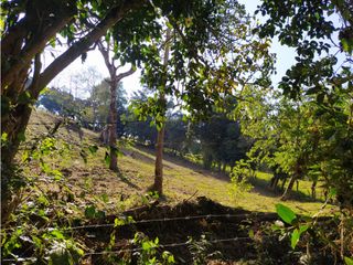 Foto 2 de Lote en Venta en el municipio de Choachi Cundinamarca