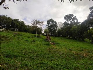 Foto 4 de Lote en Venta en el municipio de Choachi Cundinamarca