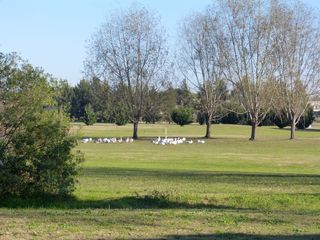 Foto 17 de Casa en Alquiler en San Isidro Labrador, Villanueva, Tigre, G.B.A. Zona Norte, Argentina
