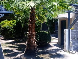 Foto 44 de Alquiler departamento en complejo , sobre calle Cervantes