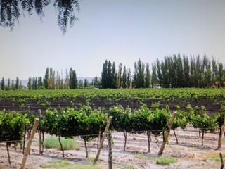 Foto 3 de VENTA DE FINCA EN SANTA ROSA SOBRE RUTA 50