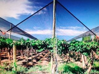Foto 2 de VENTA DE FINCA EN SANTA ROSA SOBRE RUTA 50