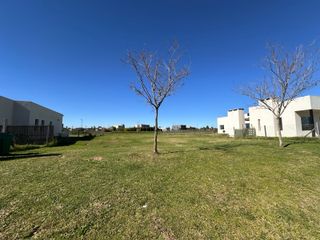 Foto 8 de TERRENO EN VENTA, SAN SEBASTIAN, AREA 5, CON ESCRITURA