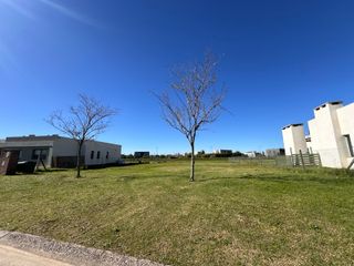 Foto 7 de TERRENO EN VENTA, SAN SEBASTIAN, AREA 5, CON ESCRITURA