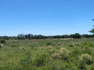 Foto 11 de Terreno en venta - 38.183Mts2 - Estancia Benqueria, Monte