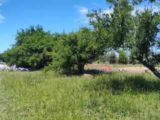 Foto 13 de Terreno en venta - 38.183Mts2 - Estancia Benqueria, Monte