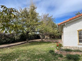 Foto 16 de Casa en  Alquiler - Hermosa propiedad con añosos árboles y amplio jardín