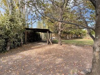 Foto 18 de Casa en  Alquiler - Hermosa propiedad con añosos árboles y amplio jardín
