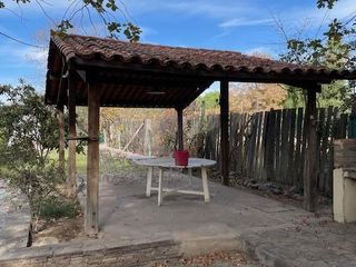 Foto 17 de Casa en  Alquiler - Hermosa propiedad con añosos árboles y amplio jardín