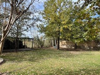 Foto 15 de Casa en  Alquiler - Hermosa propiedad con añosos árboles y amplio jardín