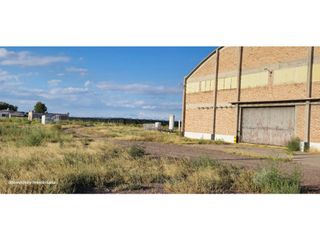 Foto 4 de VENTA DE FINCA CON BODEGA EN PRODUCCIÓN - SANTA ROSA, MZA