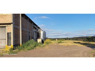 Foto 6 de VENTA DE FINCA CON BODEGA EN PRODUCCIÓN - SANTA ROSA, MZA
