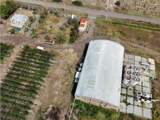 Foto 1 de VENTA DE FINCA CON BODEGA EN PRODUCCIÓN - SANTA ROSA, MZA
