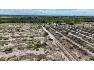 Foto 30 de VENTA DE FINCA CON BODEGA EN PRODUCCIÓN - SANTA ROSA, MZA