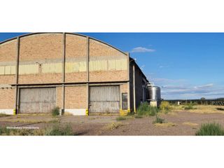 Foto 3 de VENTA DE FINCA CON BODEGA EN PRODUCCIÓN - SANTA ROSA, MZA