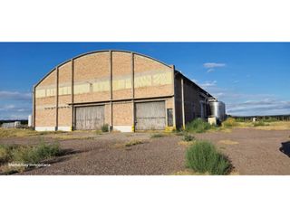Foto 2 de VENTA DE FINCA CON BODEGA EN PRODUCCIÓN - SANTA ROSA, MZA