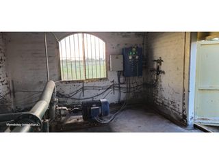 Foto 17 de VENTA DE FINCA CON BODEGA EN PRODUCCIÓN - SANTA ROSA, MZA