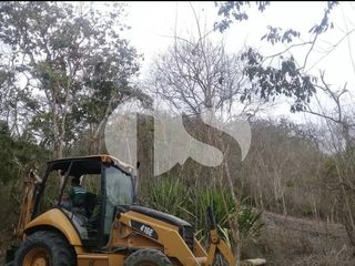 Foto 5 de TERRENO EN VENTA EN SUR DE MONTECRISTI