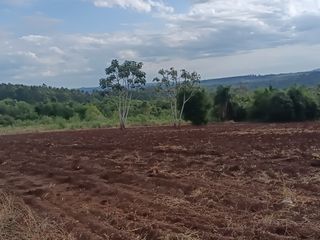 Foto 14 de CHACRA DE 56 HAS. (90% SUELO 9), GOBERNADOR ROCA, MISIONES. VENTA