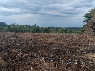 Foto 8 de CHACRA DE 56 HAS. (90% SUELO 9), GOBERNADOR ROCA, MISIONES. VENTA