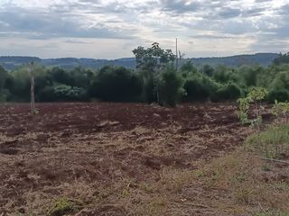 Foto 13 de CHACRA DE 56 HAS. (90% SUELO 9), GOBERNADOR ROCA, MISIONES. VENTA