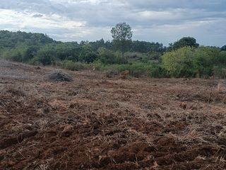 Foto 9 de CHACRA DE 56 HAS. (90% SUELO 9), GOBERNADOR ROCA, MISIONES. VENTA