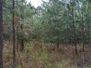Foto 16 de CHACRA DE 56 HAS. (90% SUELO 9), GOBERNADOR ROCA, MISIONES. VENTA