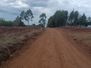 Foto 6 de CHACRA DE 56 HAS. (90% SUELO 9), GOBERNADOR ROCA, MISIONES. VENTA