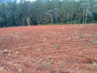 Foto 7 de CASA QUINTA EN  EL SOBERBIO-MISIONES.