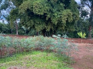 Foto 4 de CASA QUINTA EN  EL SOBERBIO-MISIONES.