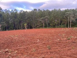 Foto 6 de CASA QUINTA EN  EL SOBERBIO-MISIONES.