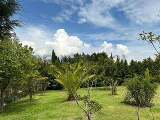 Foto 14 de Alquiler Quinta Sect. Tumbaco