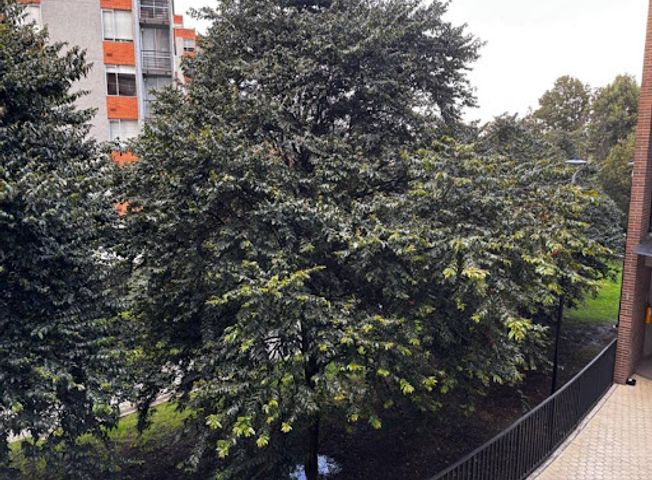place photo 7